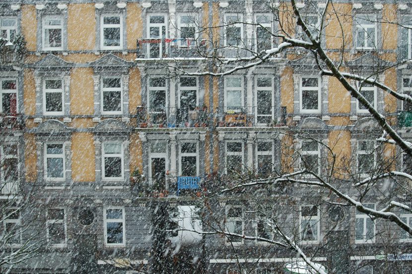 31. Januar 2010: Hegestraße 46